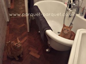 Parquet flooring kitchen or bathroom