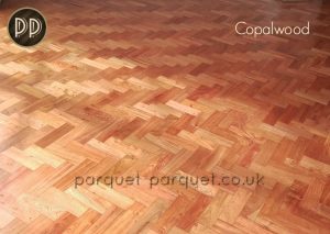 Copalwood floor